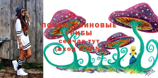 мет Арсеньев