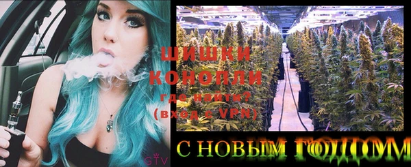 крисы Аркадак