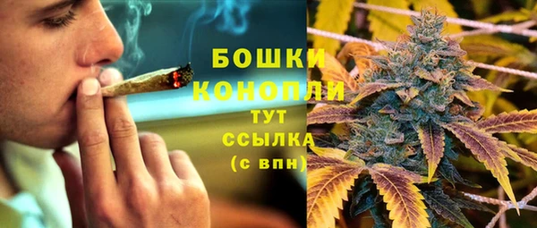 крисы Аркадак
