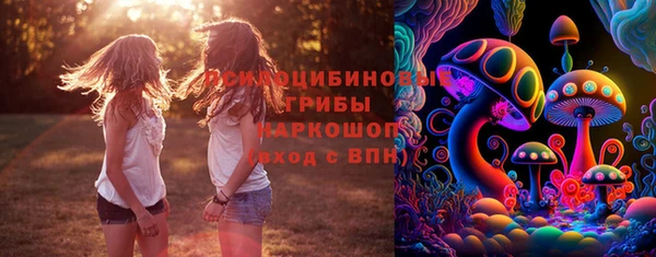 мдпв Армянск
