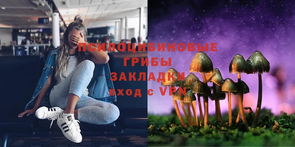 мет Арсеньев
