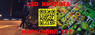 прущие грибы Краснокаменск