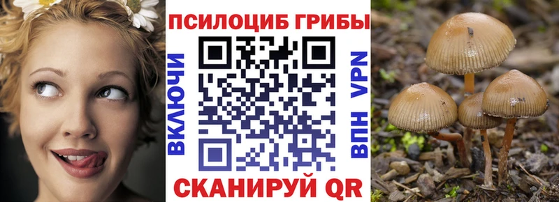 Псилоцибиновые грибы Magic Shrooms Каспийск