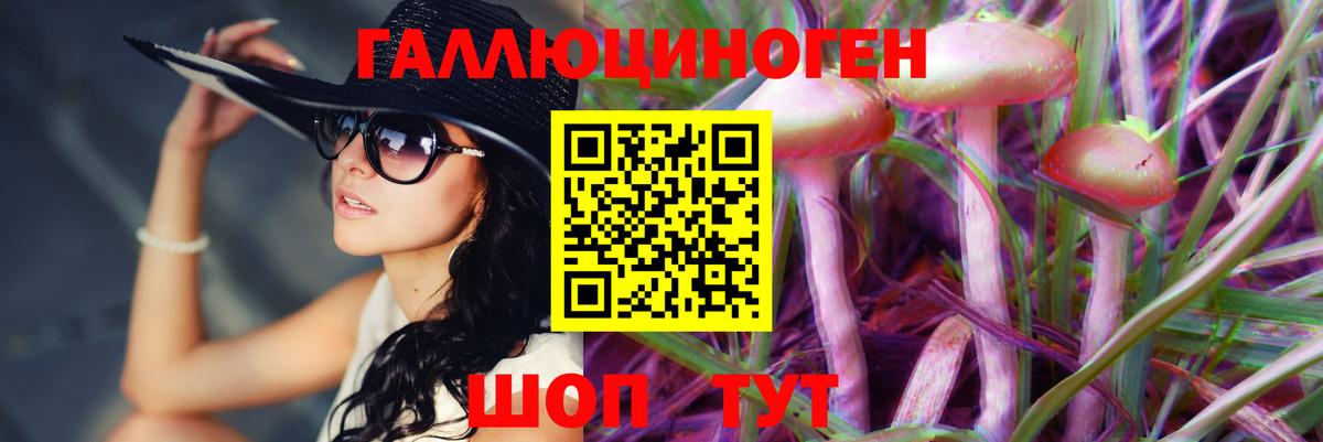 Псилоцибиновые грибы Psilocybe Каспийск